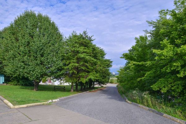 Americas Best Value Inn (Grand Rivers)